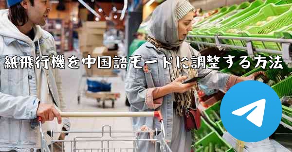 紙飛行機を中国語モードに調整する方法