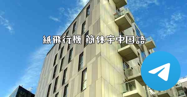 紙飛行機 簡体字中国語