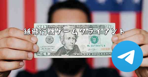紙飛行機ゲームクライアント