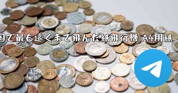 中国で最も遠くまで飛んだ紙飛行機 A4用紙