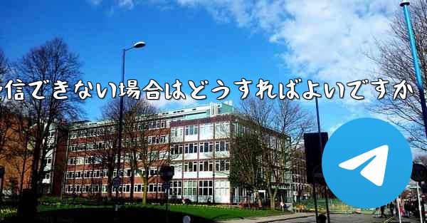 Paper Plane が国内で認証コードを受信できない場合はどうすればよいですか