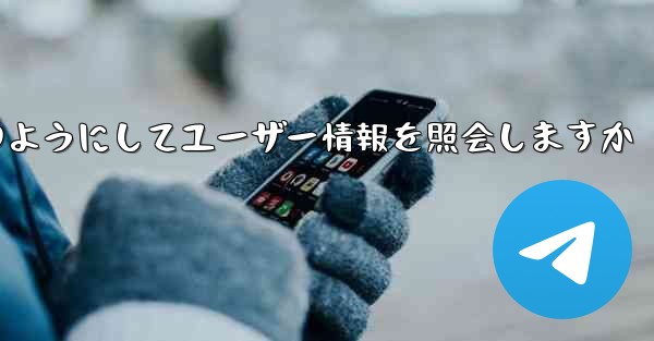 Paper Plane はどのようにしてユーザー情報を照会しますか