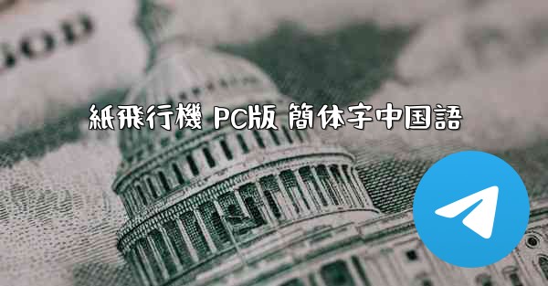 紙飛行機 PC版 簡体字中国語