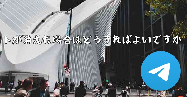 紙飛行機の固定メッセージポイントが消えた場合はどうすればよいですか
