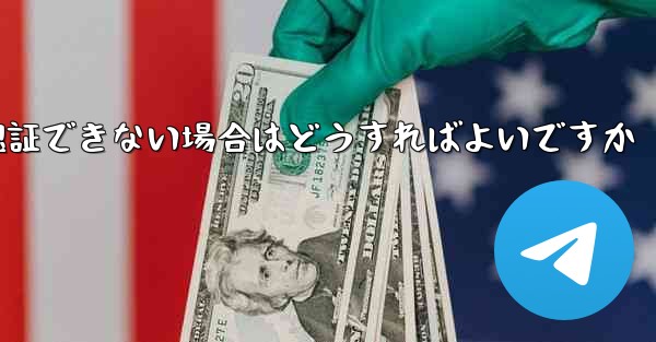 Paper Plane の携帯電話番号が認証できない場合はどうすればよいですか