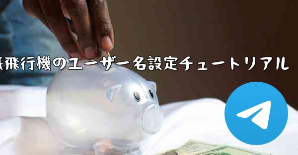 紙飛行機のユーザー名設定チュートリアル