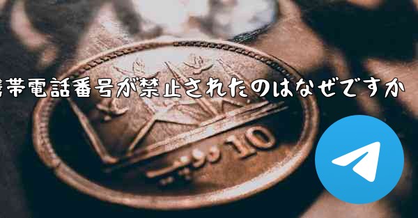 Paper Plane の携帯電話番号が禁止されたのはなぜですか