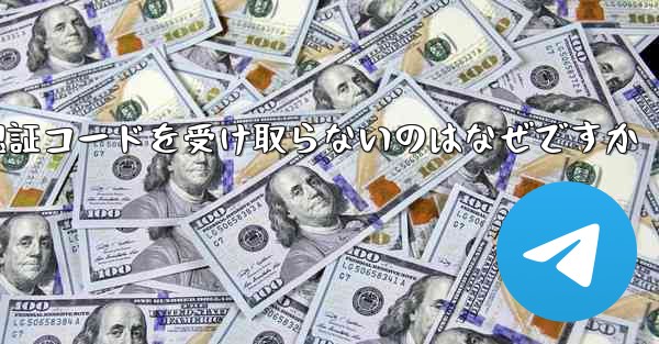 Paper Plane が認証コードを受け取らないのはなぜですか