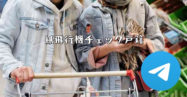 紙飛行機チェック戸籍