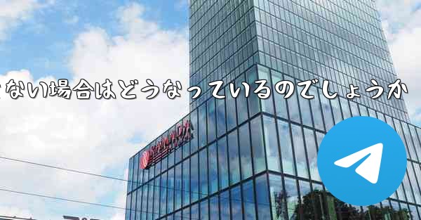 Paper Plane が SMS 認証コードを受信できない場合はどうなっているのでしょうか