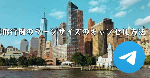 紙飛行機のラージサイズのキャンセル方法