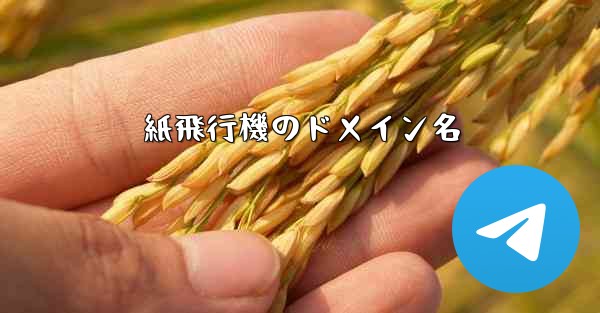 紙飛行機のドメイン名