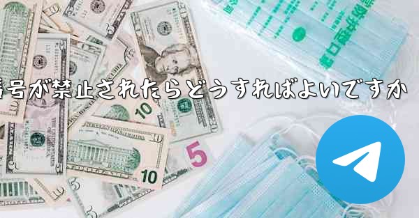 私の紙飛行機の番号が禁止されたらどうすればよいですか