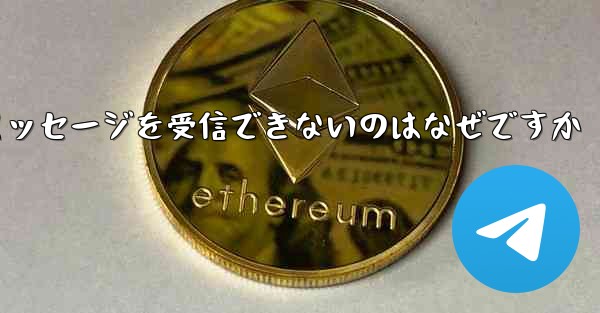 Paper Plane からテキスト メッセージを受信できないのはなぜですか