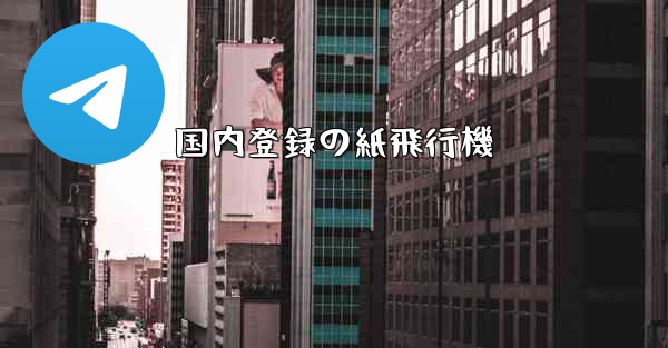 国内登録の紙飛行機