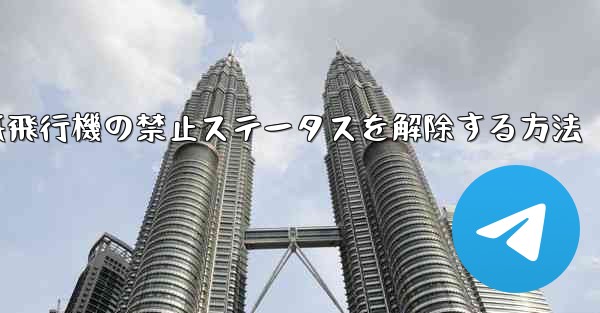 紙飛行機の禁止ステータスを解除する方法