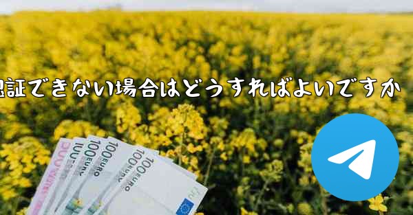 紙飛行機の番号が認証できない場合はどうすればよいですか