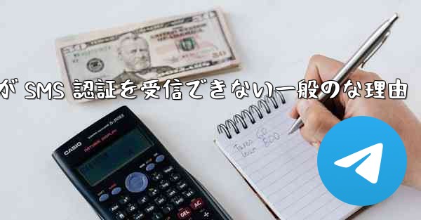 Paper Plane が SMS 認証を受信できない一般のな理由