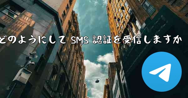 Paper Plane はどのようにして SMS 認証を受信しますか