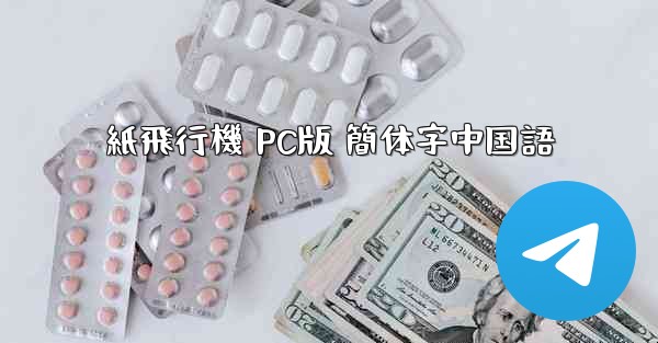 紙飛行機 PC版 簡体字中国語