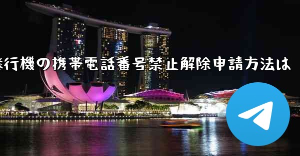 紙飛行機の携帯電話番号禁止解除申請方法は