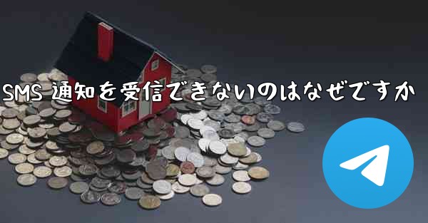 紙飛行機が SMS 通知を受信できないのはなぜですか