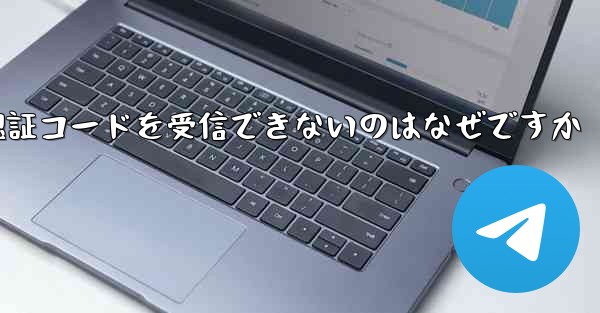 Paper Plane が SMS 認証コードを受信できないのはなぜですか