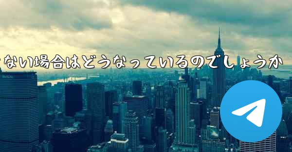 Paper Plane が SMS 認証コードを受信できない場合はどうなっているのでしょうか