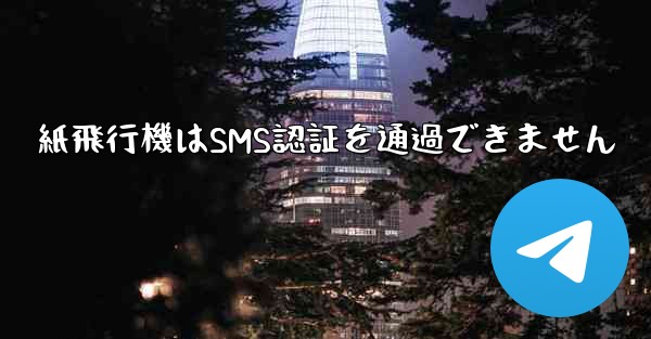 紙飛行機はSMS認証を通過できません