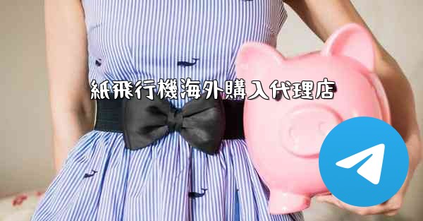 紙飛行機海外購入代理店