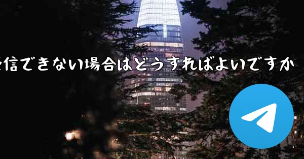 Paper Plane の携帯電話番号でテキスト メッセージを受信できない場合はどうすればよいですか