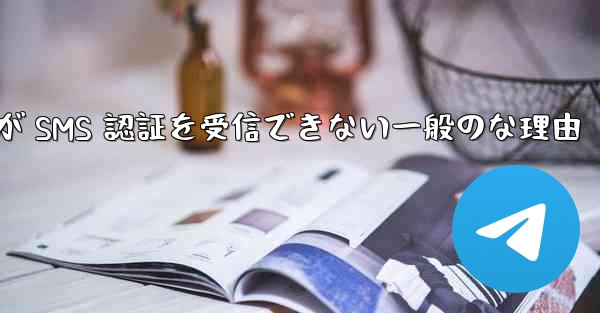 Paper Plane が SMS 認証を受信できない一般のな理由