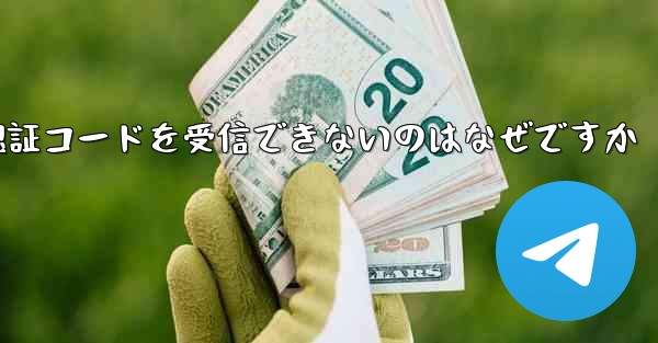 Paper Plane が認証コードを受信できないのはなぜですか