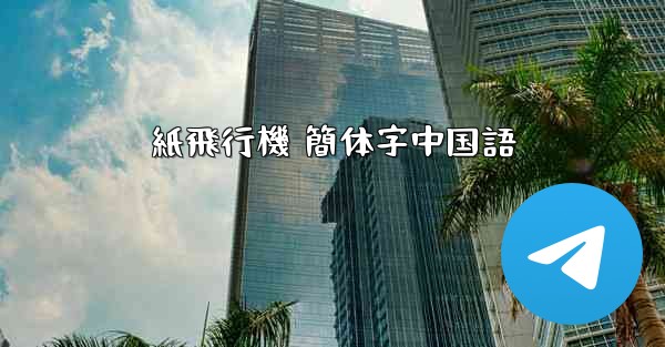 紙飛行機 簡体字中国語