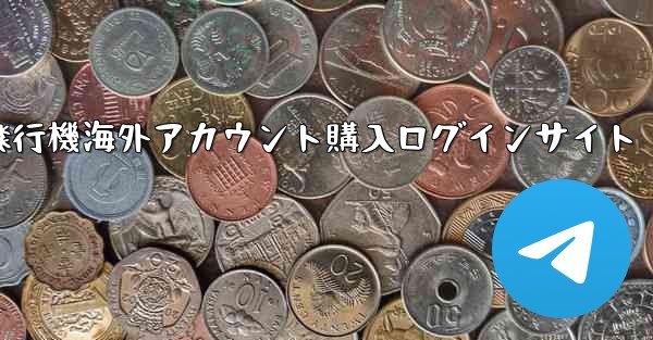 紙飛行機海外アカウント購入ログインサイト