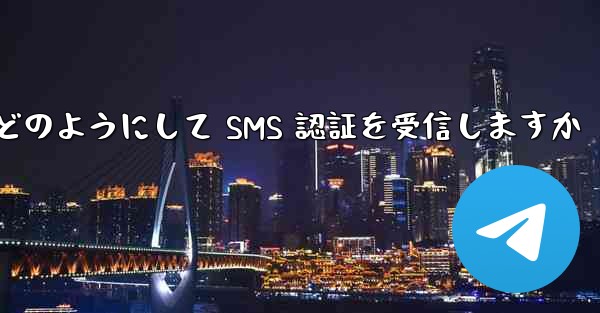 Paper Plane はどのようにして SMS 認証を受信しますか