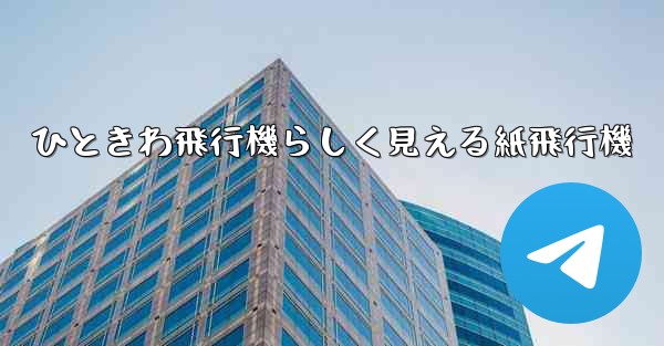 ひときわ飛行機らしく見える紙飛行機
