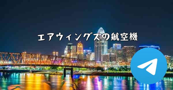 エアウィングスの航空機