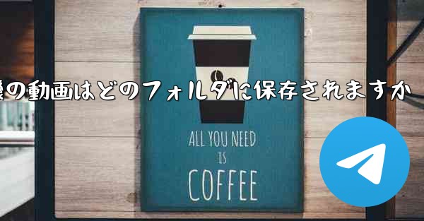 紙飛行機の動画はどのフォルダに保存されますか