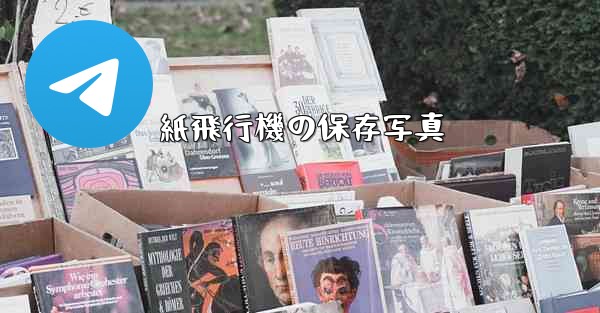 紙飛行機の保存写真