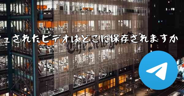 Paper Plane のキャッシュされたビデオはどこに保存されますか