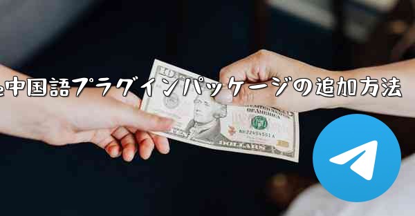 Paper Plane中国語プラグインパッケージの追加方法