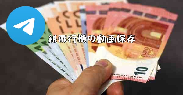 紙飛行機の動画保存