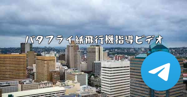 バタフライ紙飛行機指導ビデオ