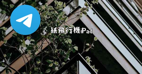 紙飛行機iPad