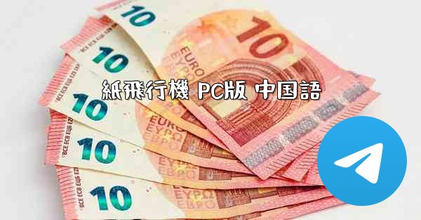 紙飛行機 PC版 中国語