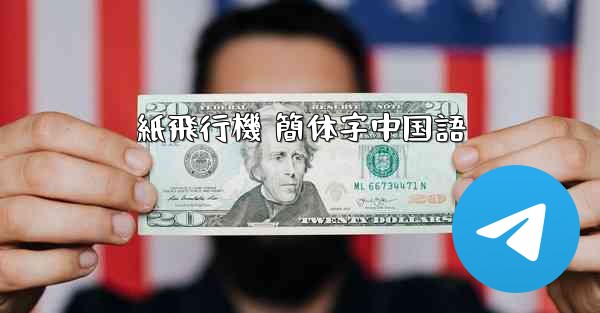 紙飛行機 簡体字中国語
