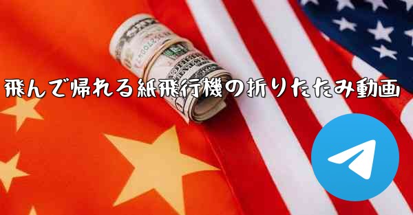 飛んで帰れる紙飛行機の折りたたみ動画