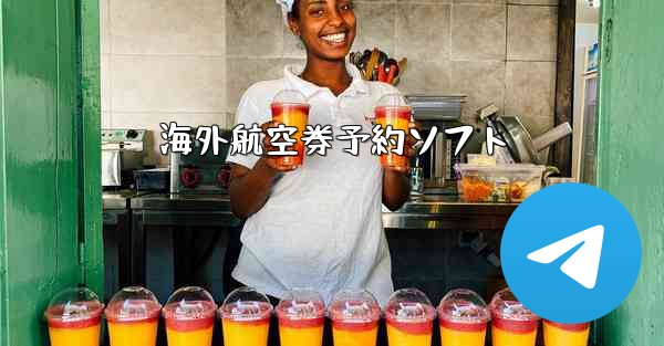 海外航空券予約ソフト