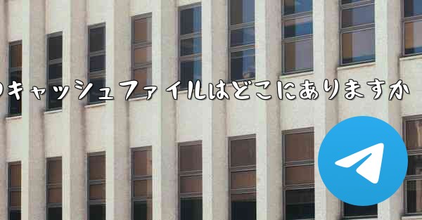 紙飛行機のキャッシュファイルはどこにありますか